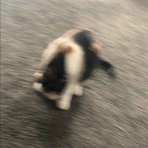 Meet your Posher, Claire